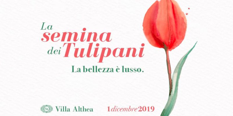 Atelier Carol alla Semina dei Tulipani: prenotati e partecipa anche tu all’evento e ritira il tuo regalo!