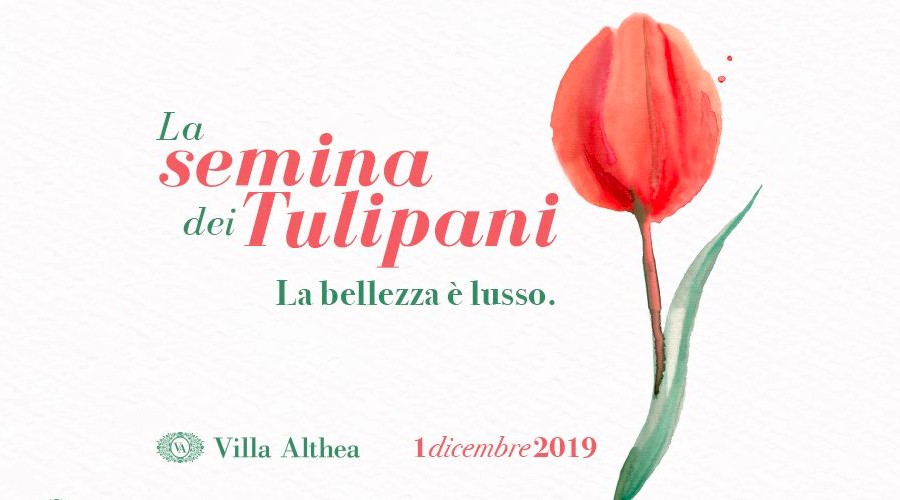 Atelier Carol alla Semina dei Tulipani: prenotati e partecipa anche tu all’evento e ritira il tuo regalo! Atelier Carol alla Semina dei Tulipani: prenotati e partecipa anche tu all’evento e ritira il tuo regalo!
